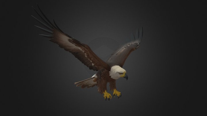 Eagle Neutral Flying Pose