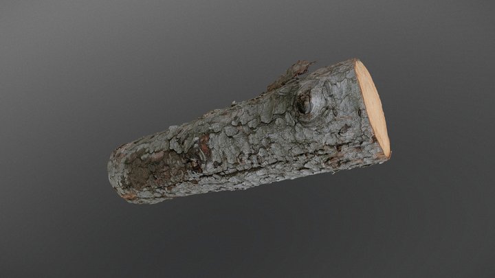 Spruce log 3D Model