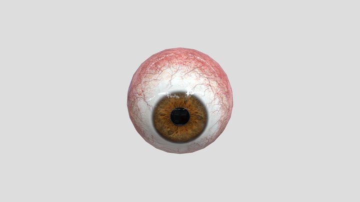 brown_eyeball_free 3D Model