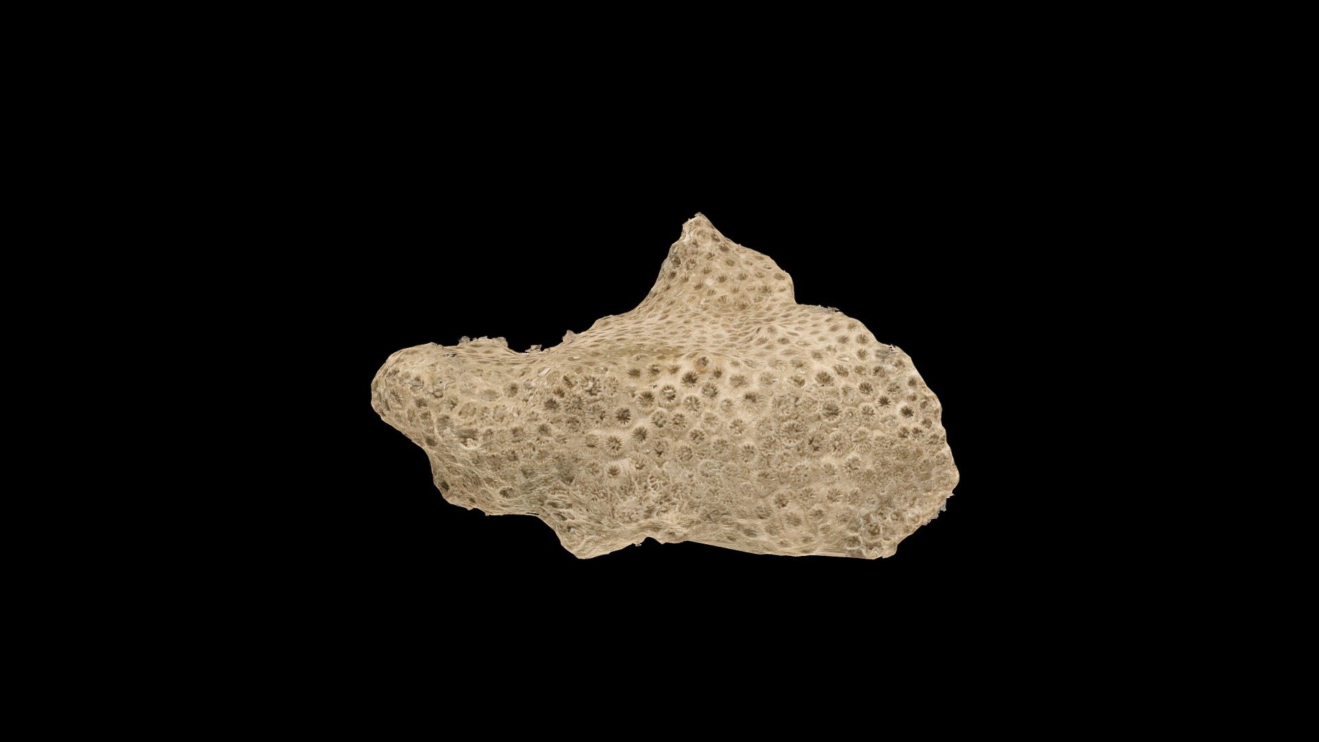 Geol212_632