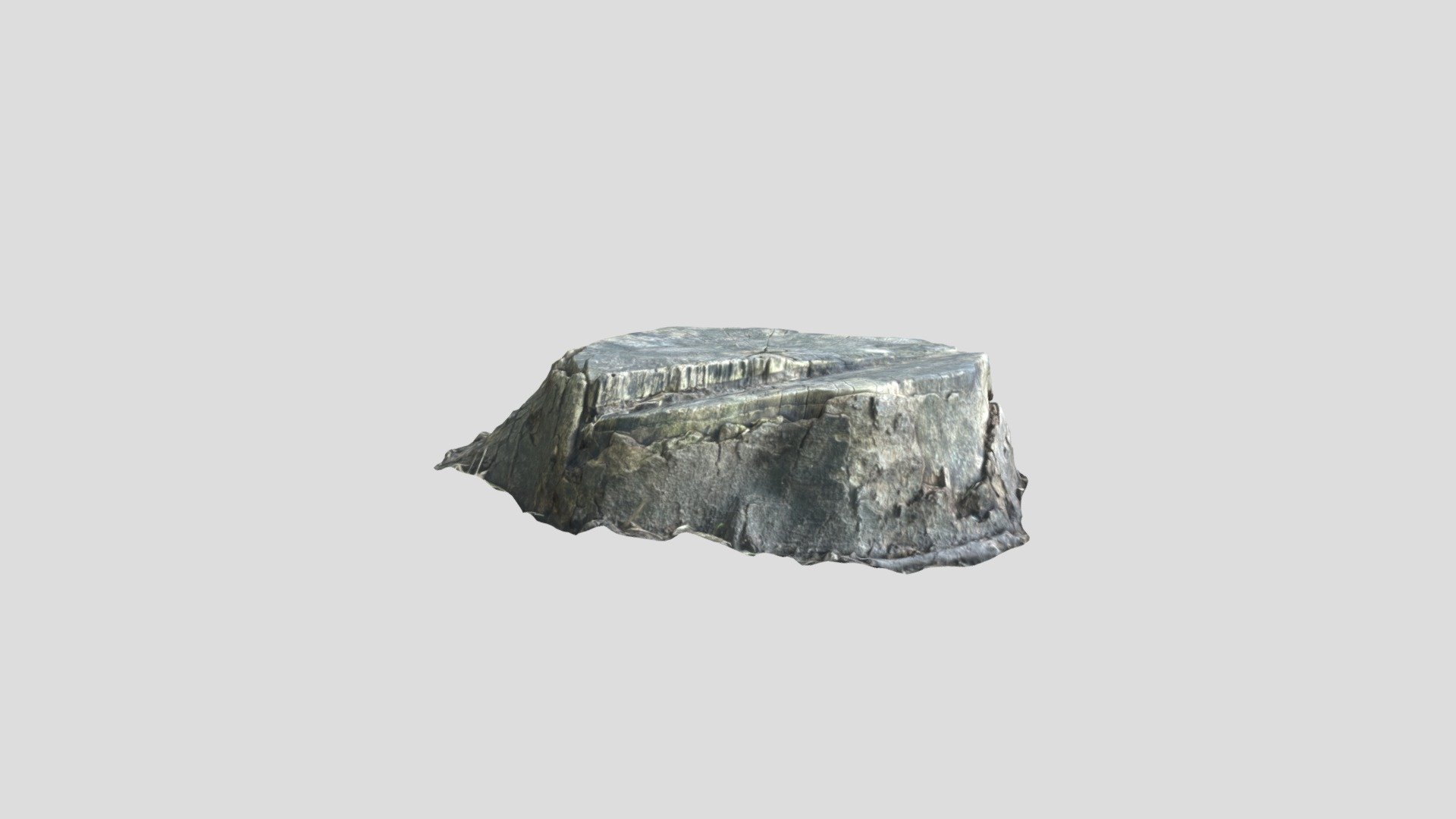 3d Scanned Tree Stump - Download Free 3D model by morfeorenato [1d23265 ...