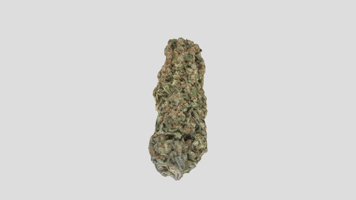 NEW WEED MODEL 3D Model