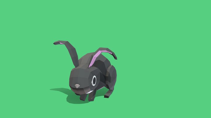 Rabbit 3D Model