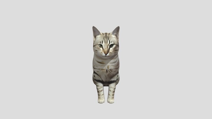 Tiger 3D Model
