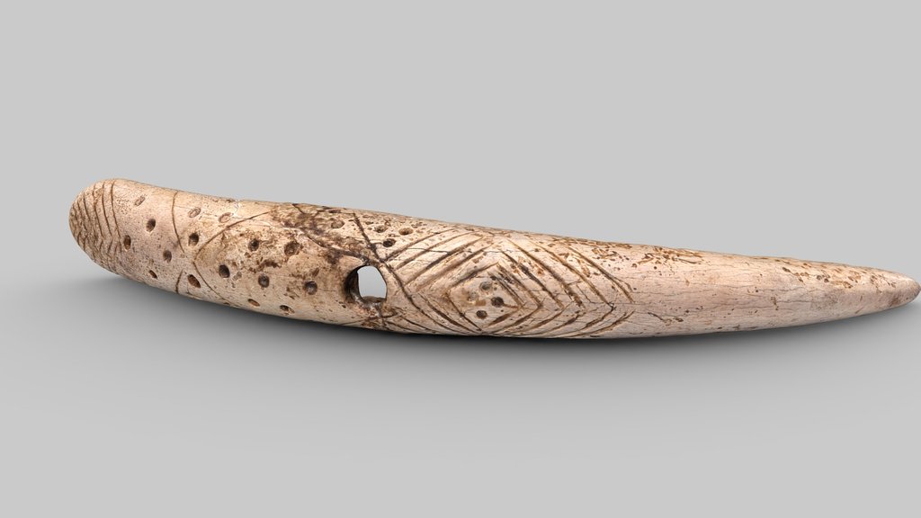 Bone tool or horse bridle