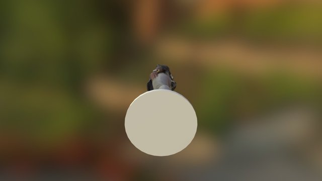 - ID-ea.Lu - Copy-Body 3D Model