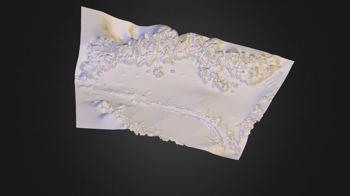 1Q2Q-model-MED-200kfaces- 3D Model