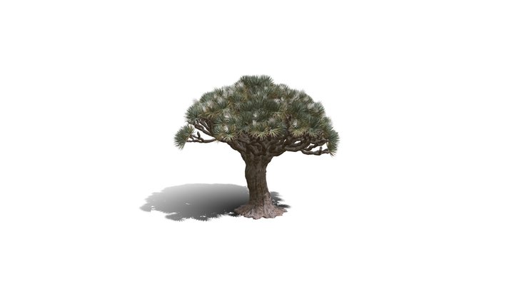 Realistic HD Dragon tree (25/50) 3D Model