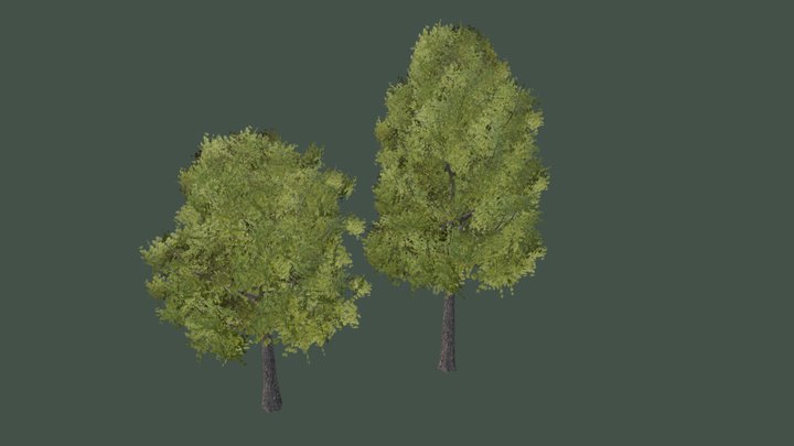 Trees Low Poly 3D Model