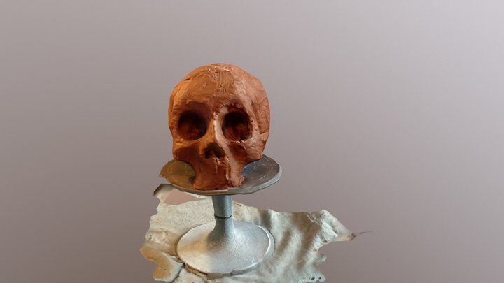 Gliniana czaszka 3D Model