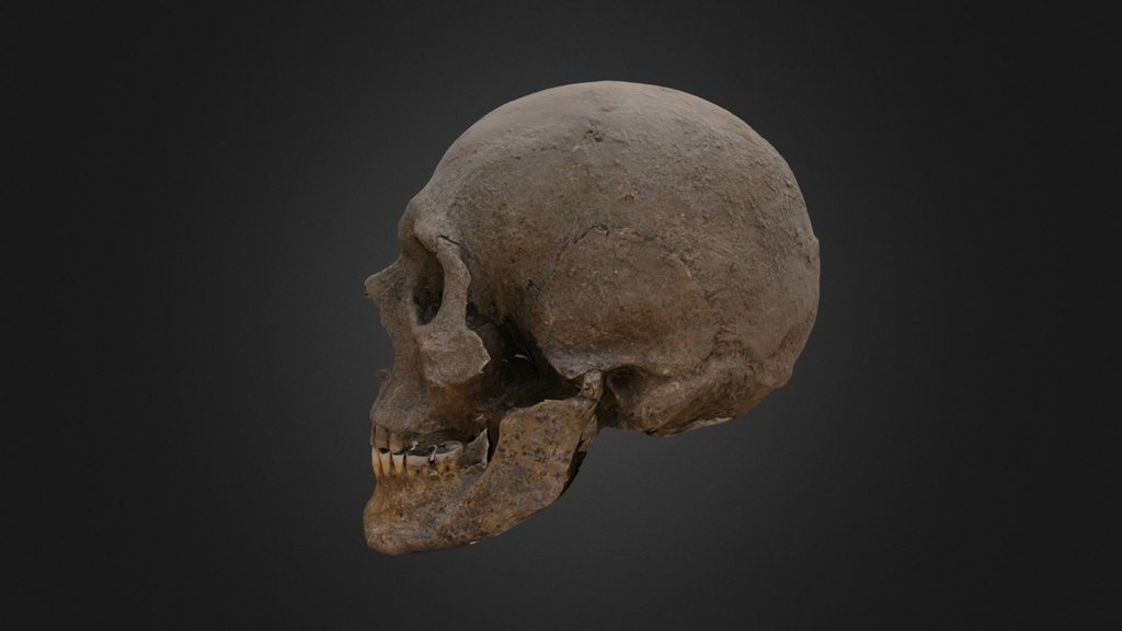 kobanian skull (800 BC)