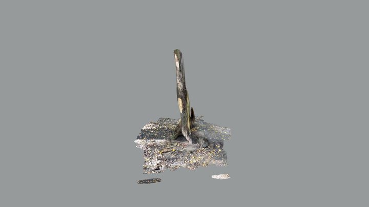 Baumstumpf 3D Model
