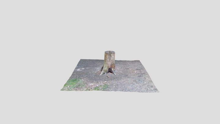 Tree trunk stump, Kiri – Modello 3D gratuito STL