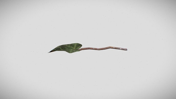 Ivy Leaf 3D Model