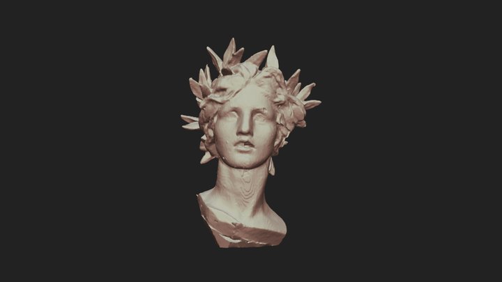 Study Head of Victory 3D Model