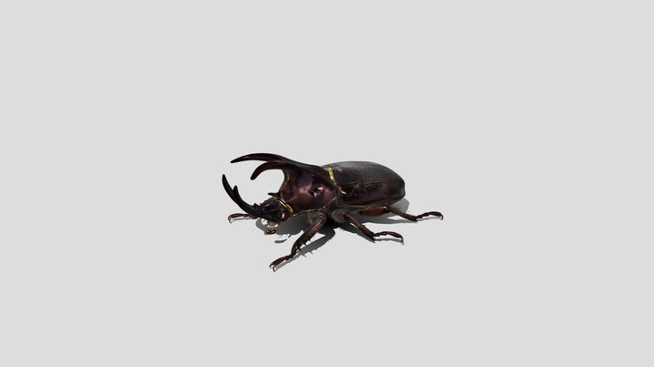 Giant Stag Beetle – Modelo 3D gratuito STL