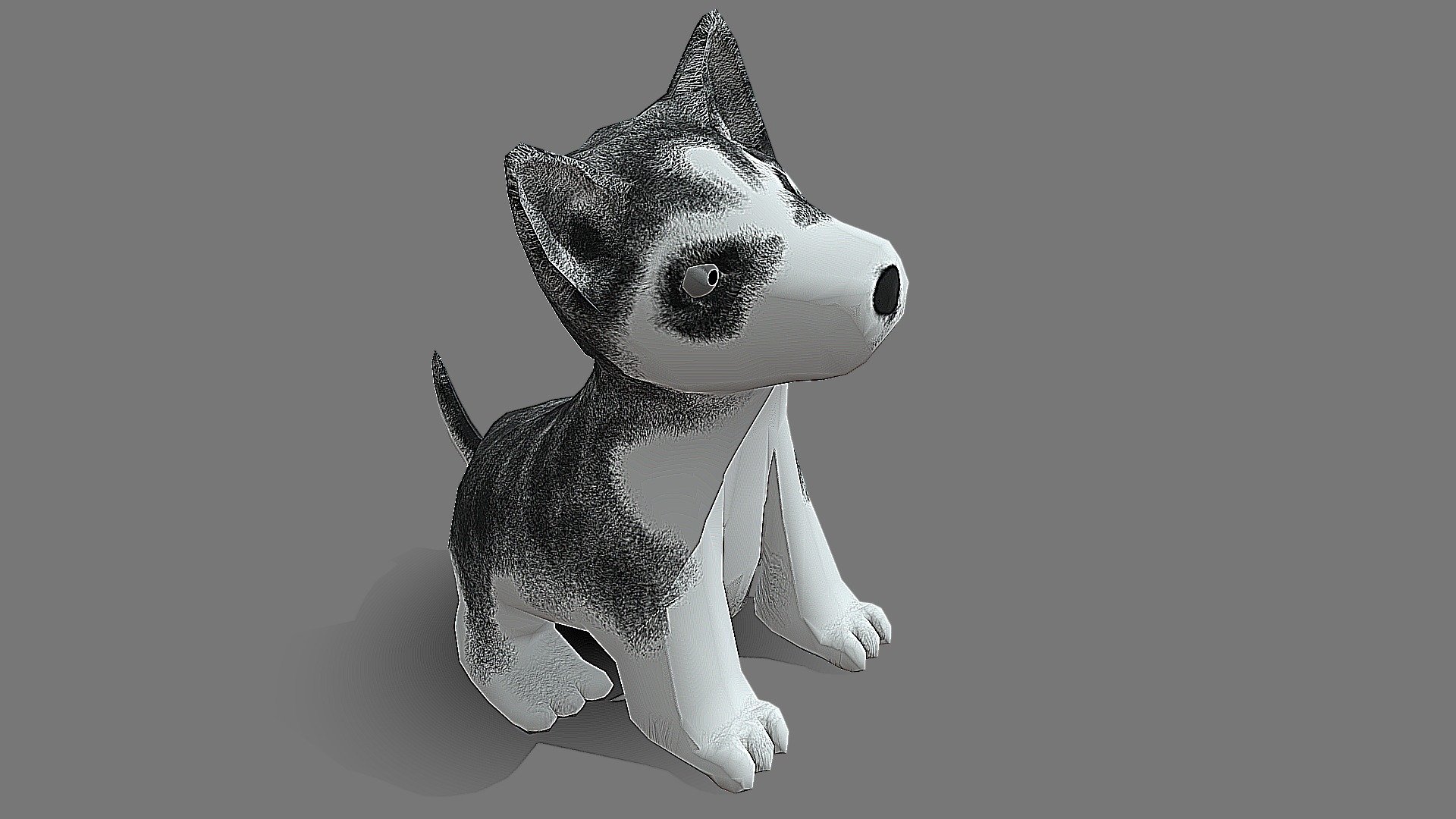 Huskie Day 6