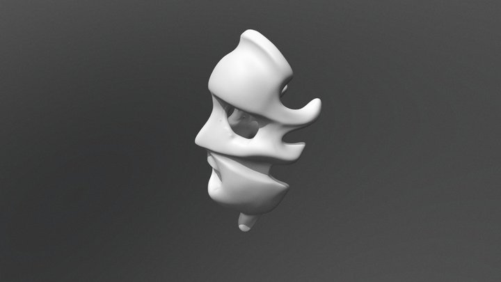 anonymousVI 3D Model