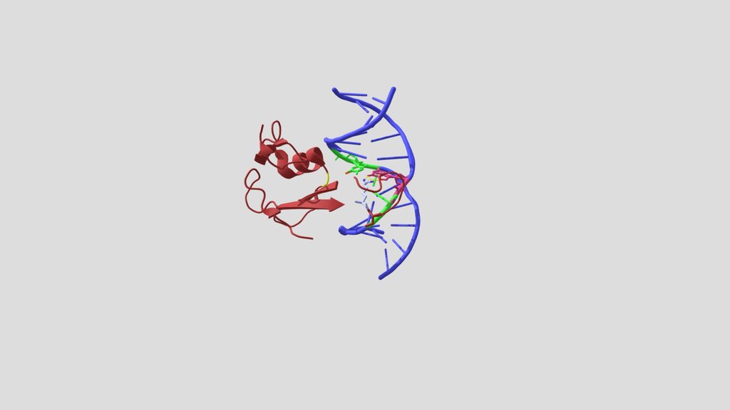 MBD in complex with methylated DNA