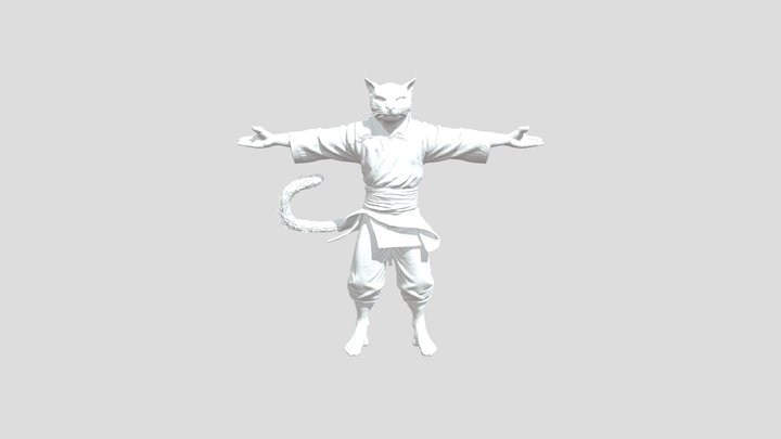 Feline Kung Fu Master 3D Model