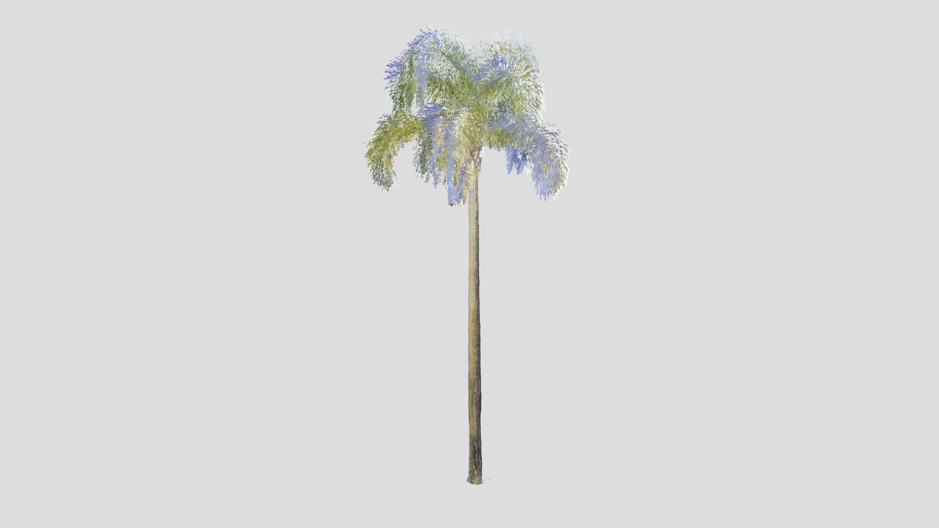 Tree Point Cloud