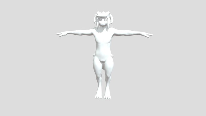 RobinV The Drusky 3D Model