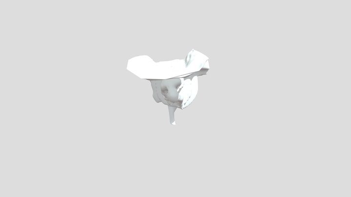 Escaneo maqueta