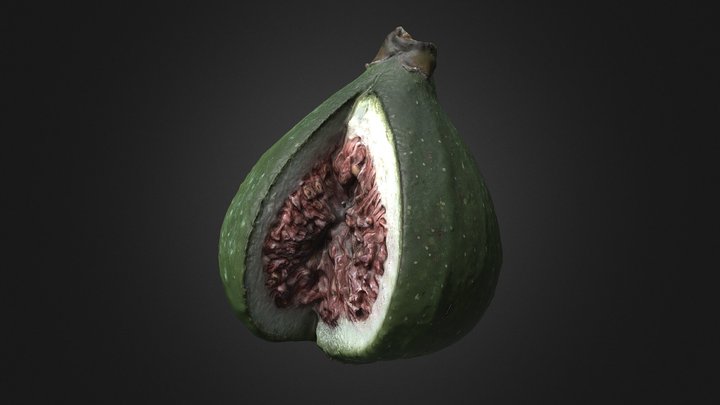 Fig (Ficus carica) – Free 3D Model STL
