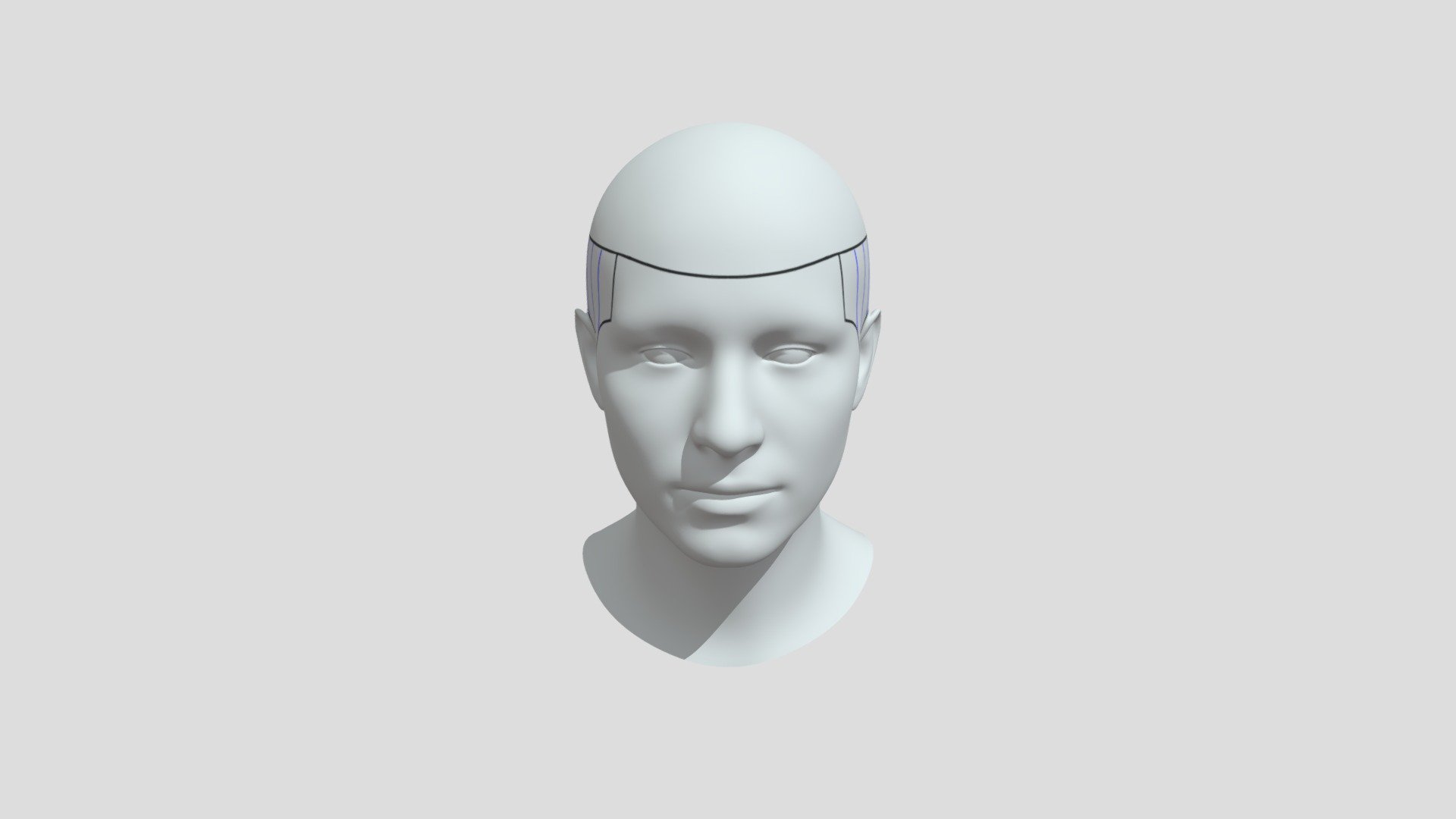 1) Деление на зоны с синим - Download Free 3D model by marat_settarov ...