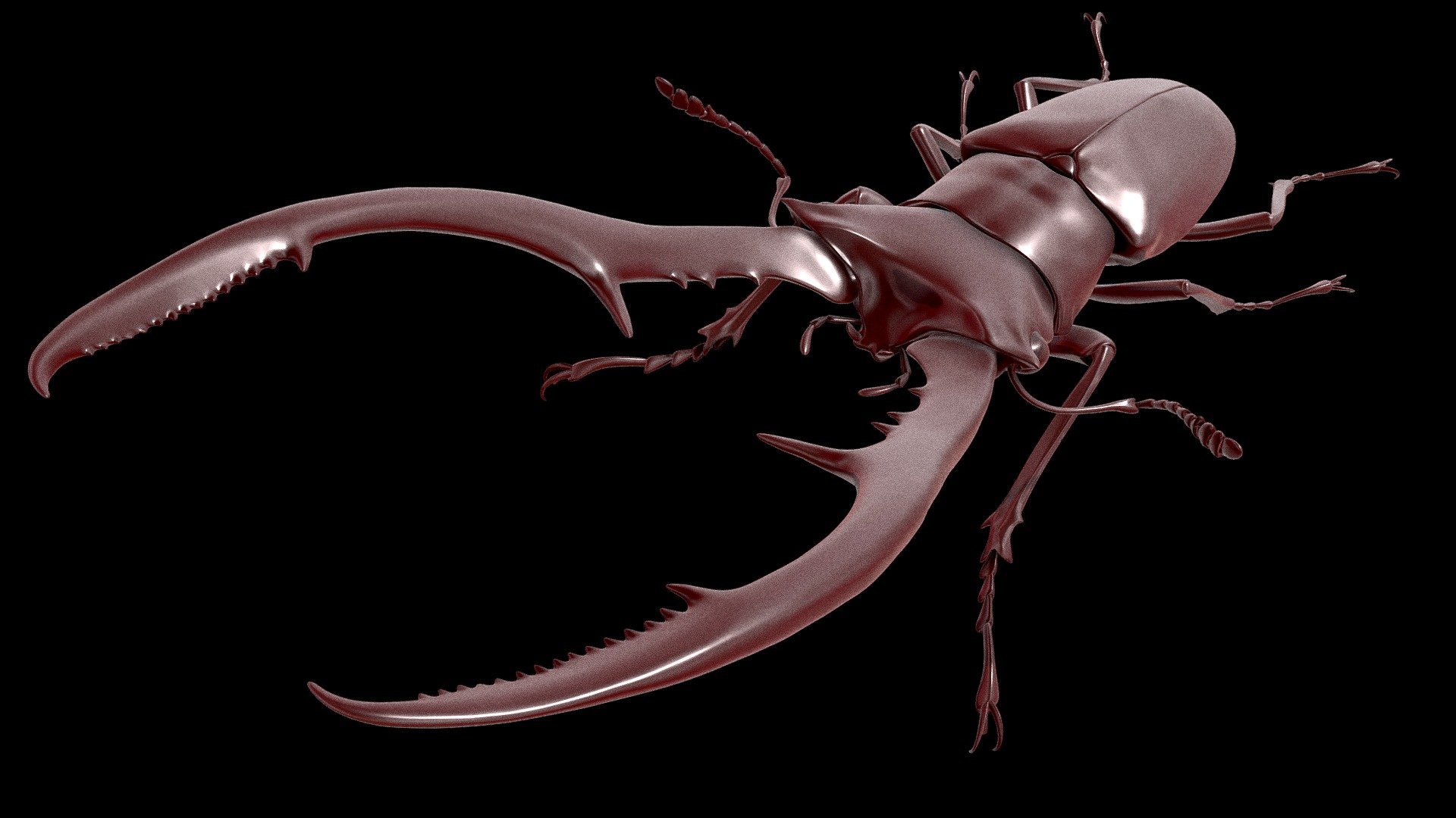 Cyclomatus Metalifer Finae — Sketchfab embed 3D viewer