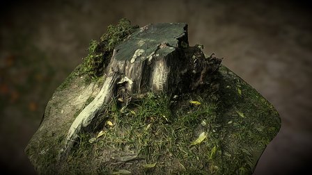 Stump - photos from your smartphone 3D Model
