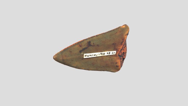 NWHCM_1910.28.28.21 3D Model