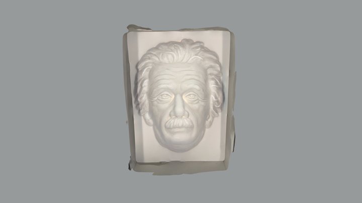 Einstein 3D Model