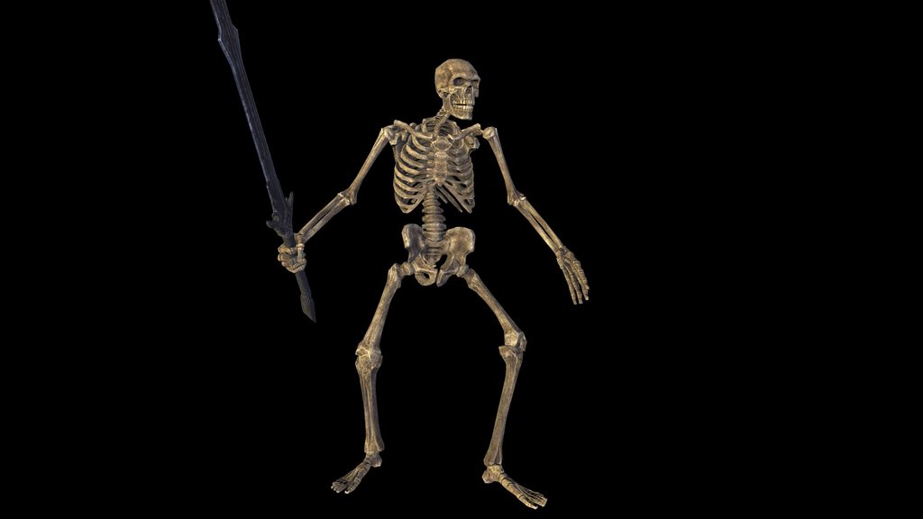 Free Skeleton Swordman