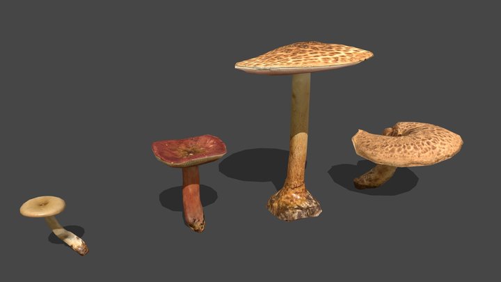 Mushroom_17&18&19&20 3D Model