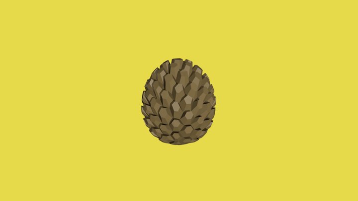 Pinecone - 3December 3D Model