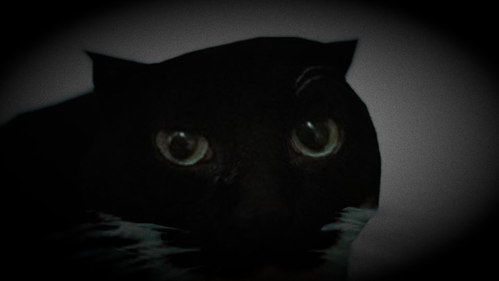 Maxwell the cat 3D Model