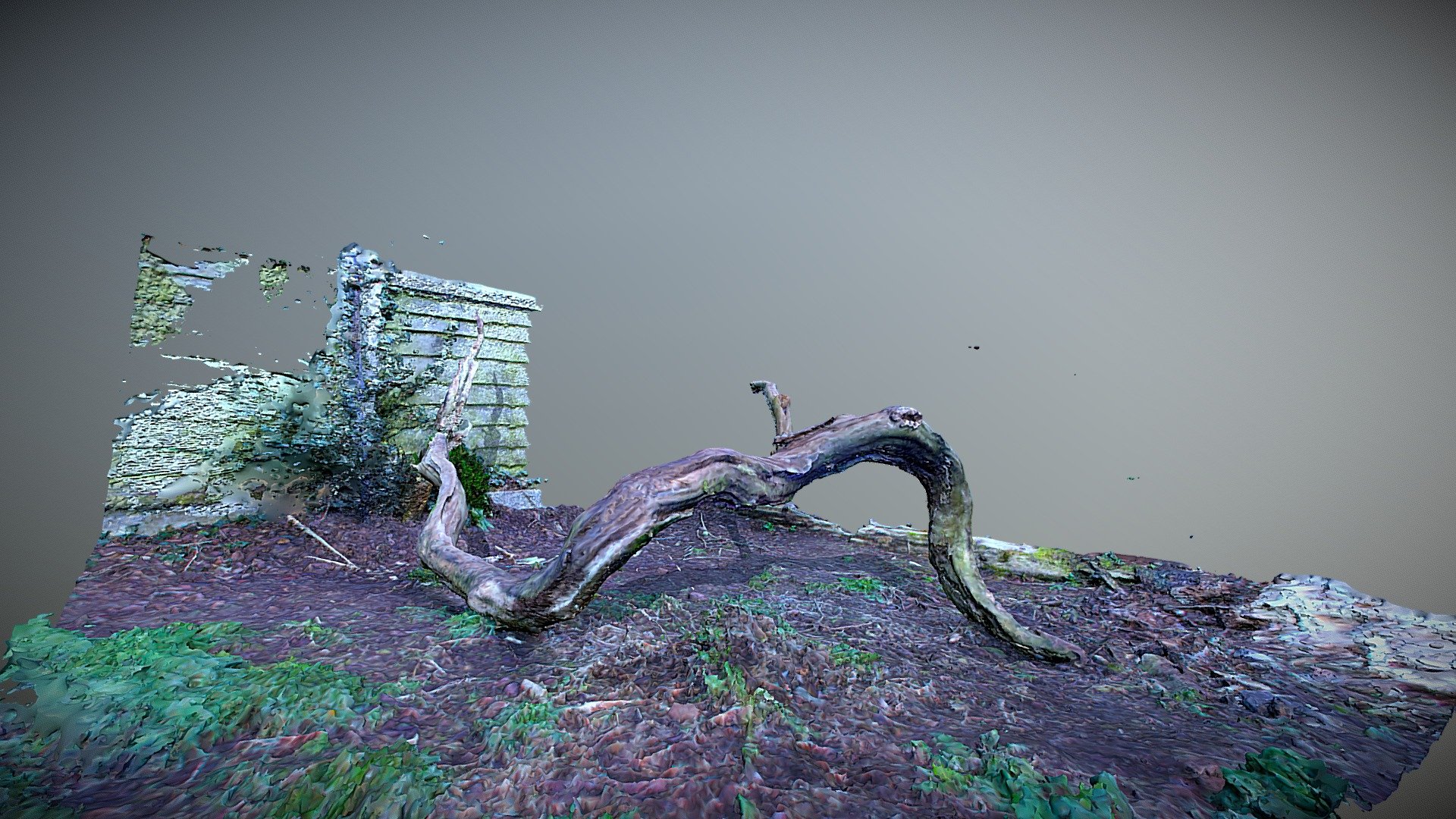 Garden Branch
