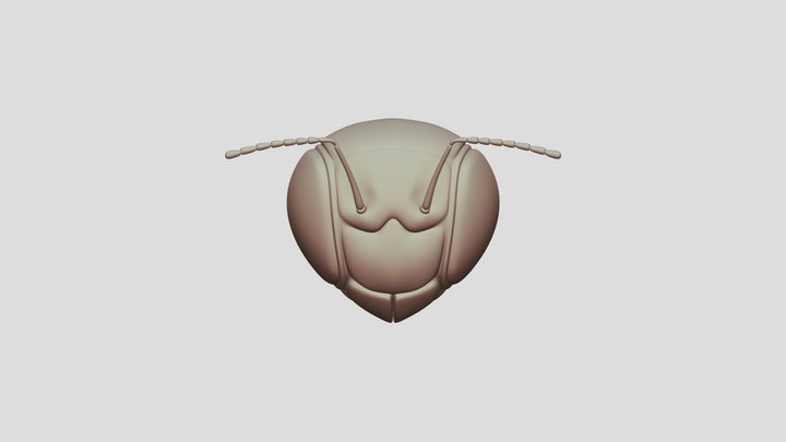 Bee Head 3D Model