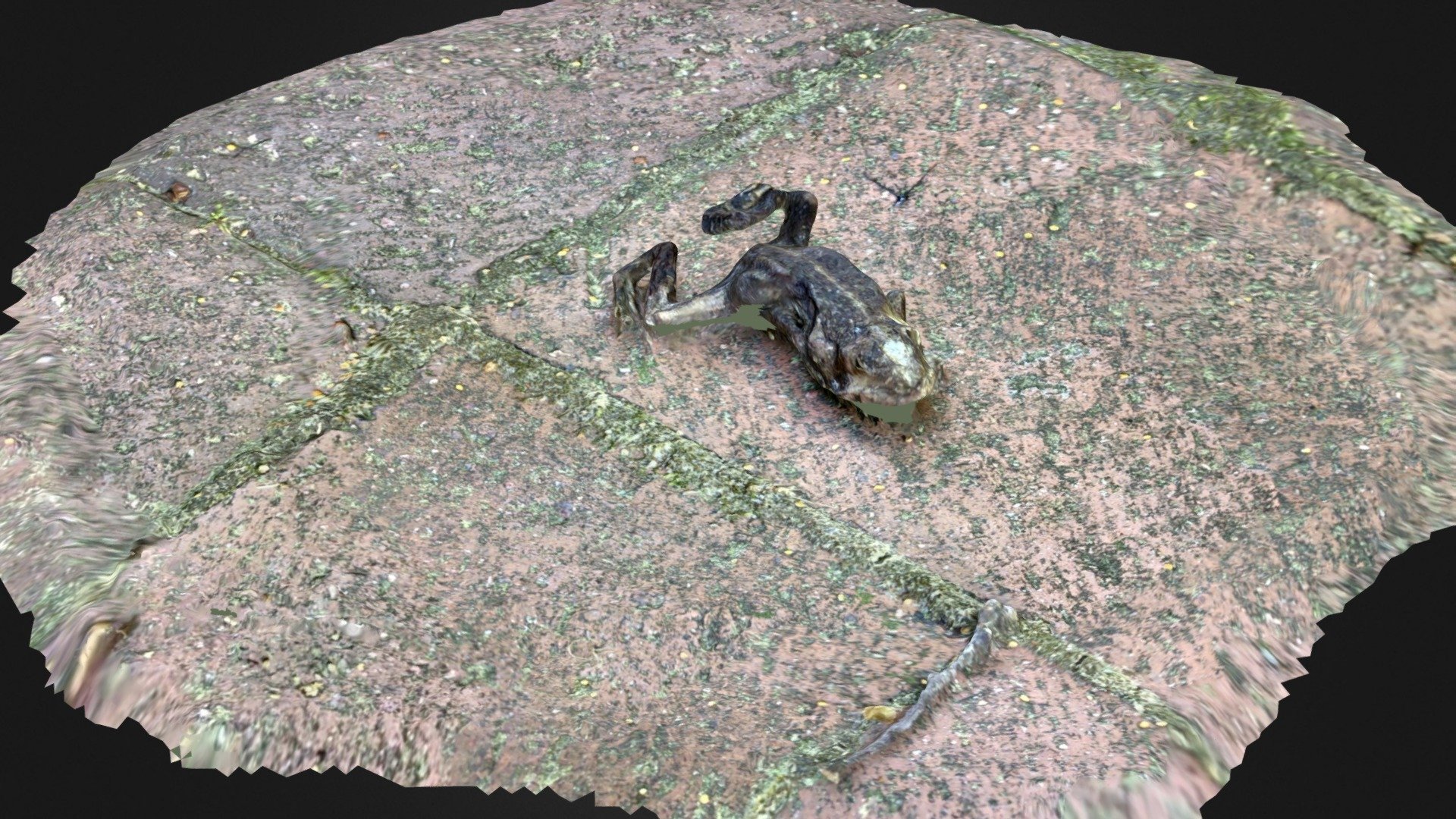 Mummified Frog Download Free 3D model by Terrie (terrielsimmons