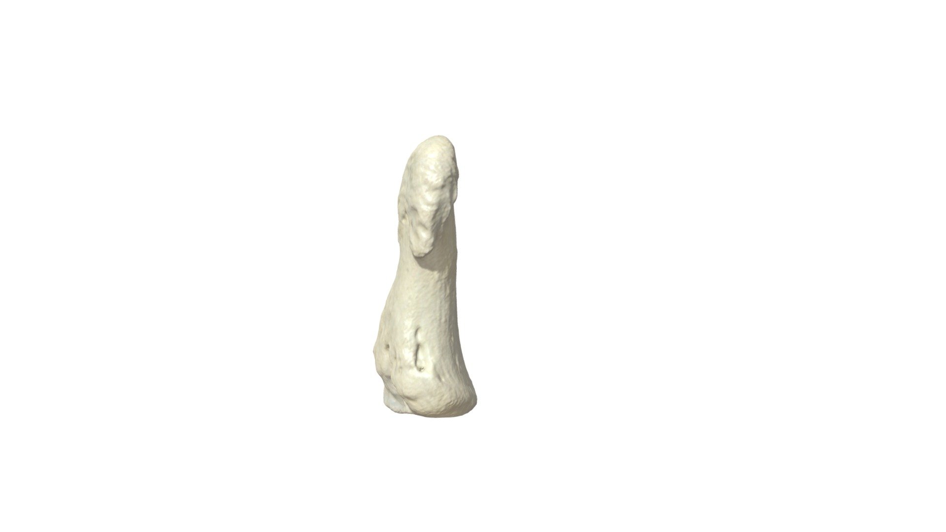 Phalanx Distalis III R - 3D model by Universiteit Antwerpen ...
