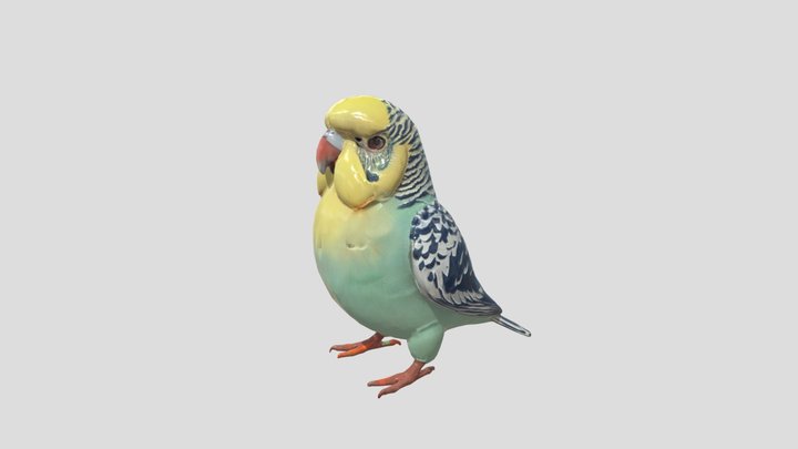 budgerigar statue 3D Model