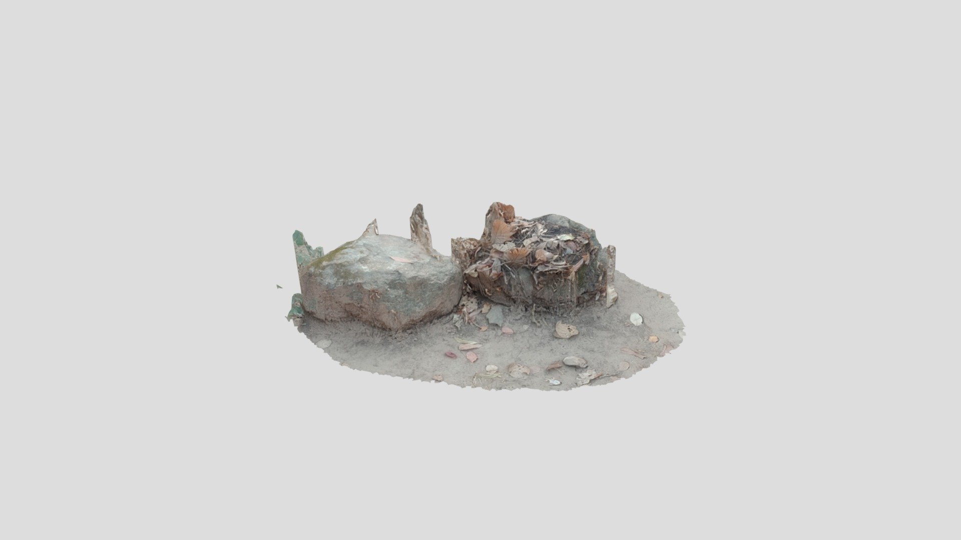 model