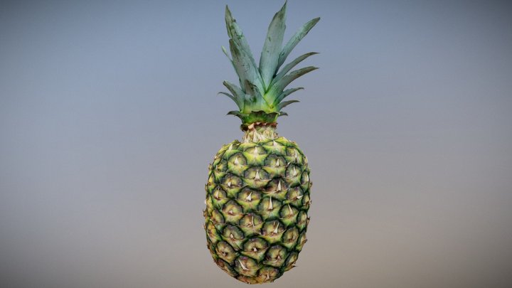 Pineapple - Photogrammetry 3D Model