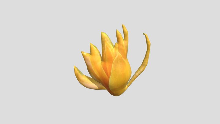 Bunga Juempa 3D Model
