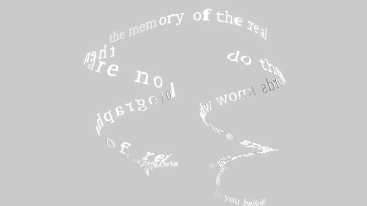 no photographs of reality 3D Model
