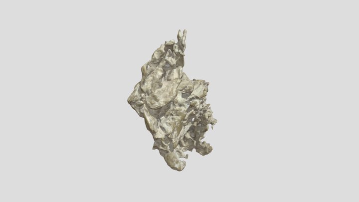 escaneo_4500k 3D Model