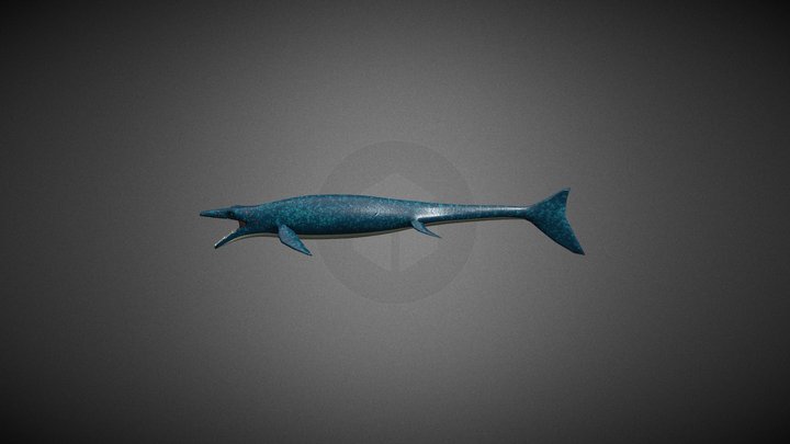 Mosasaurus 3D Model