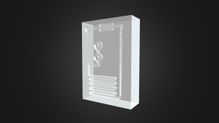 NANOLYSER for Celiac Disease 3D Model