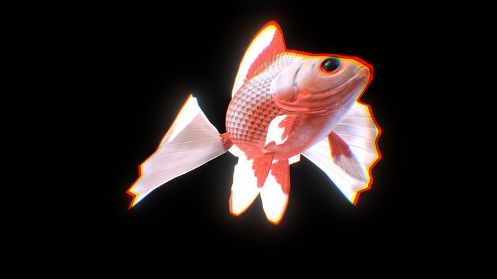 Tosakin-goldfish by somitsu 3D Model